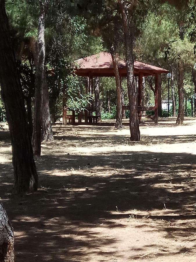 Athens 140公寓 外观 照片
